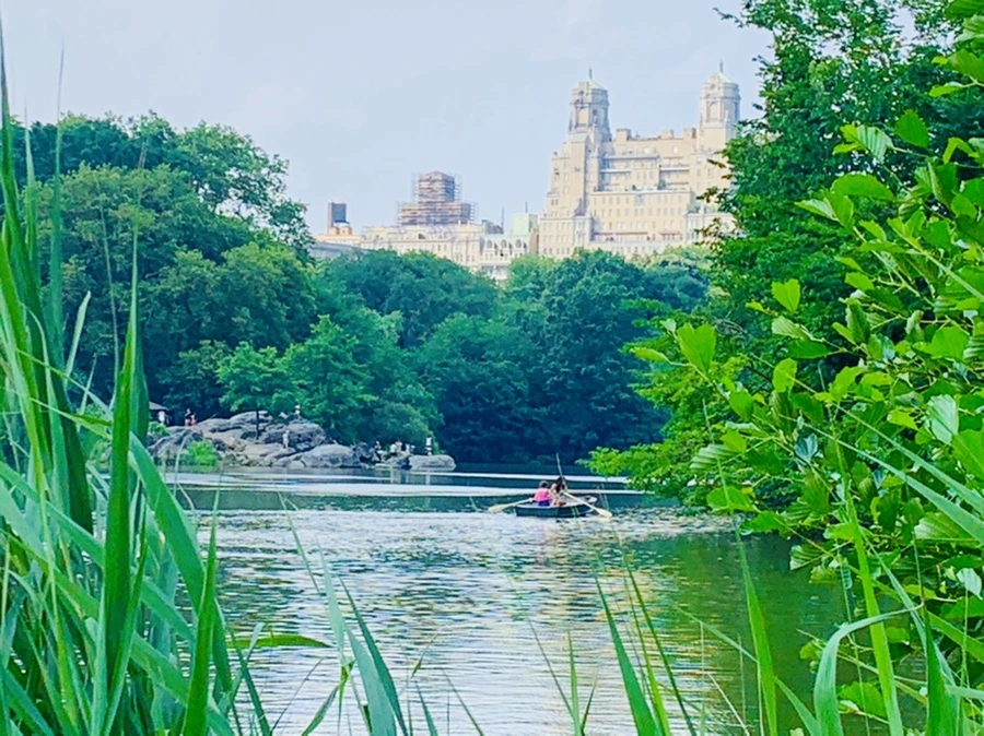 IMG_1711.jpg?type=w966