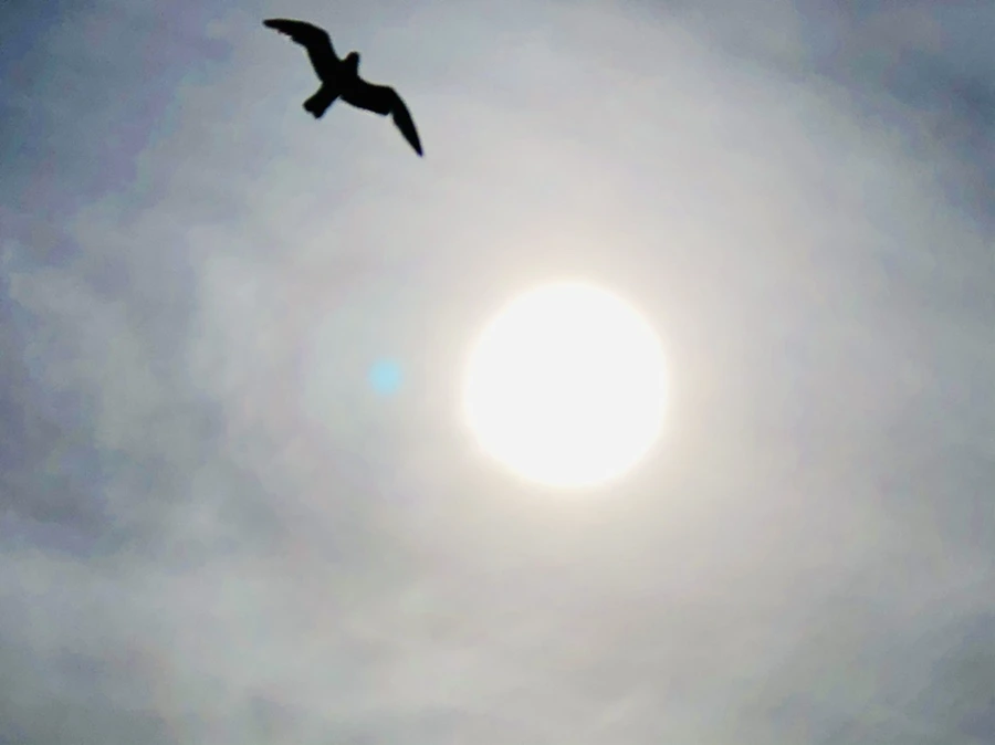 IMG_3122.jpg?type=w966