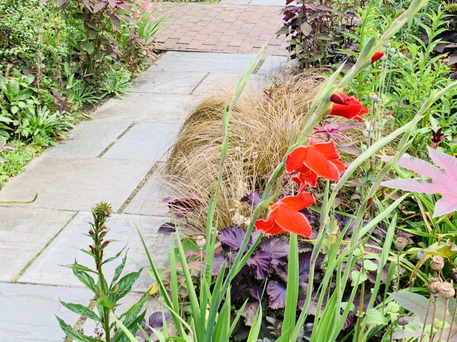 IMG_9427.jpg?type=w966