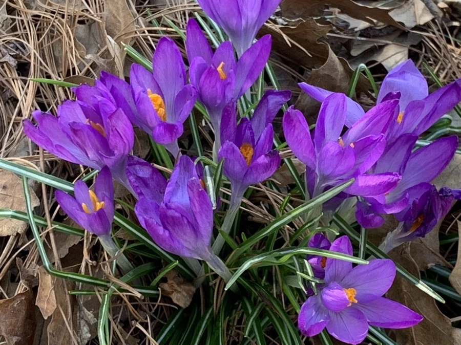 IMG_1283.jpg?type=w966