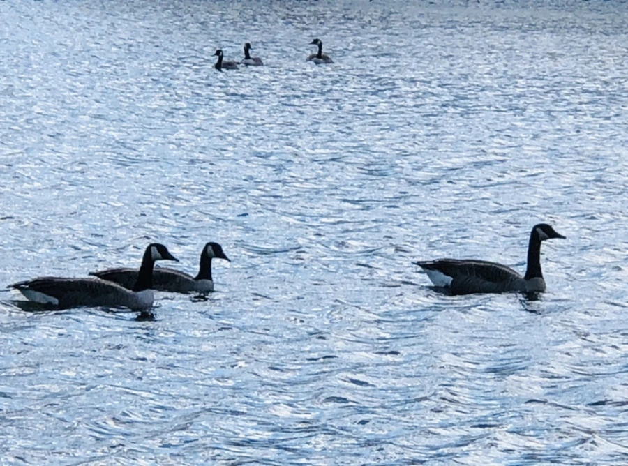 IMG_9205.jpg?type=w966