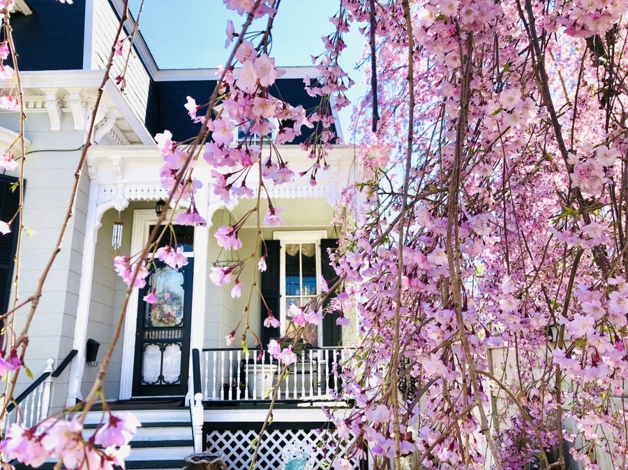 IMG_3039.jpg?type=w966