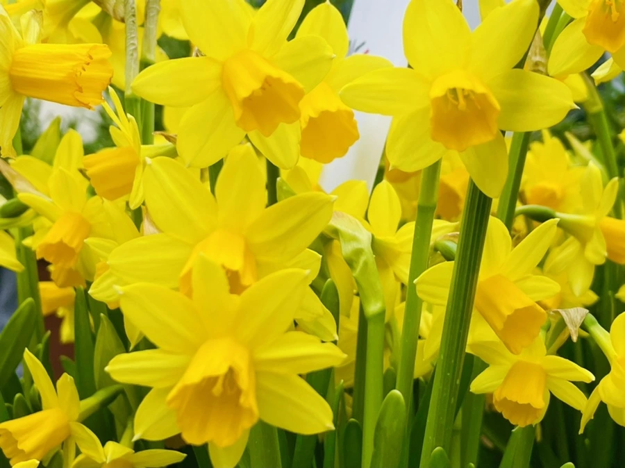 IMG_2479.jpg?type=w966