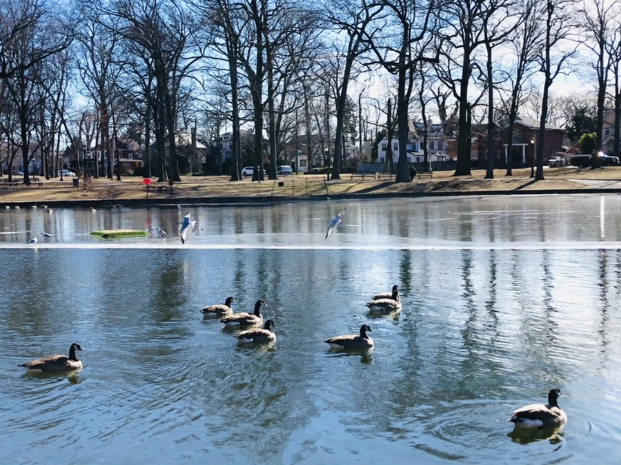 IMG_5444.jpg?type=w966