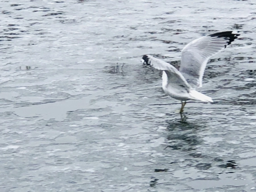 IMG_5586.jpg?type=w966