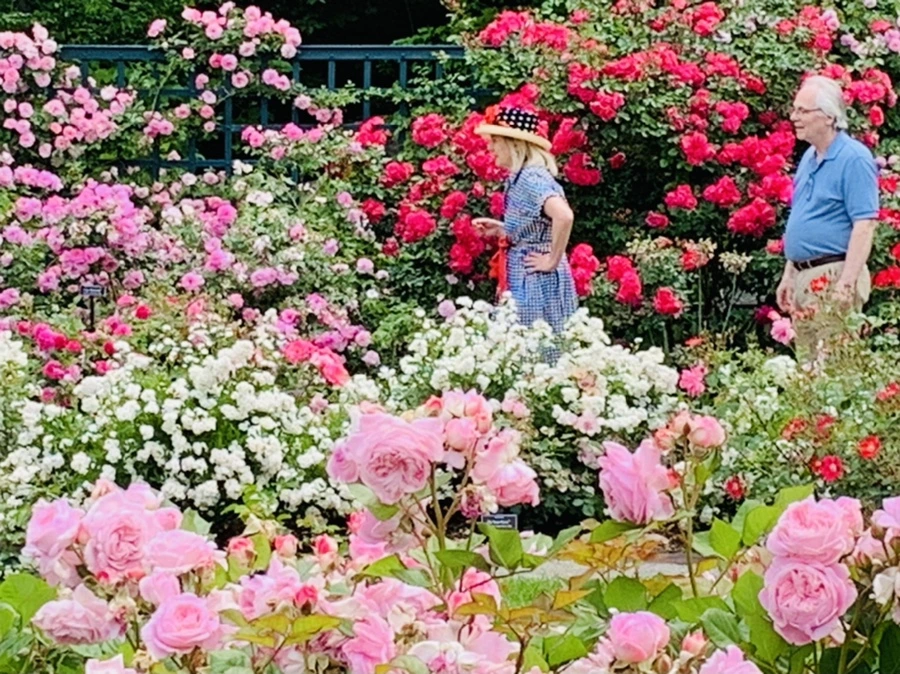 IMG_9934.jpg?type=w966