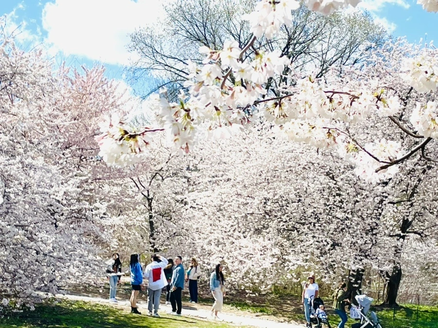 IMG_9324.jpg?type=w966