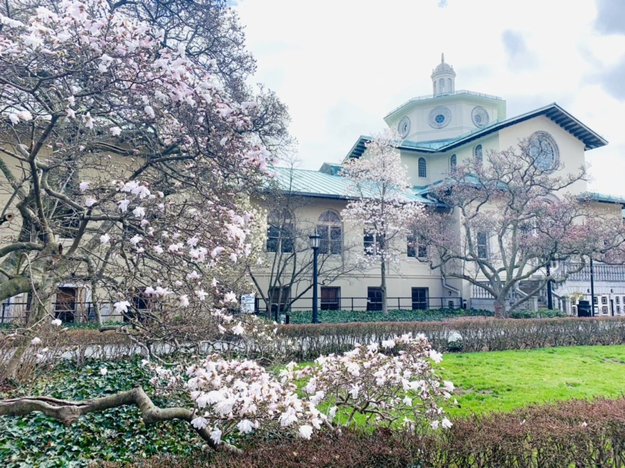 IMG_6487.jpg?type=w966