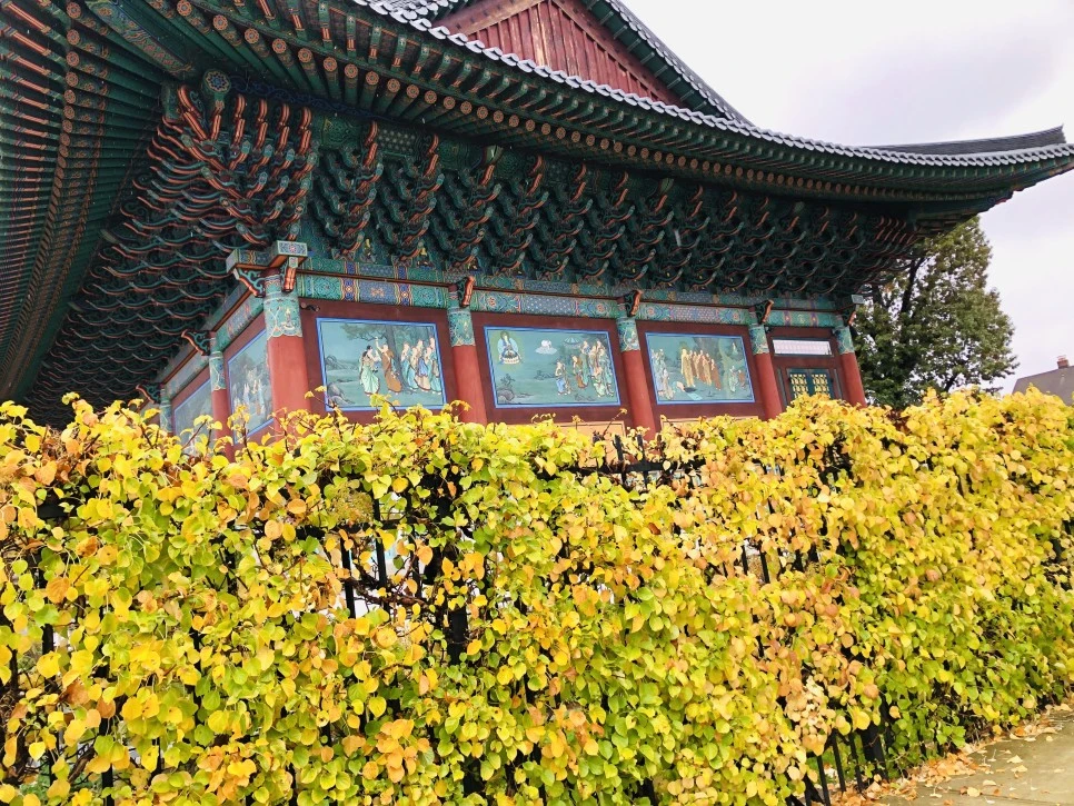 IMG_3150.jpg?type=w966