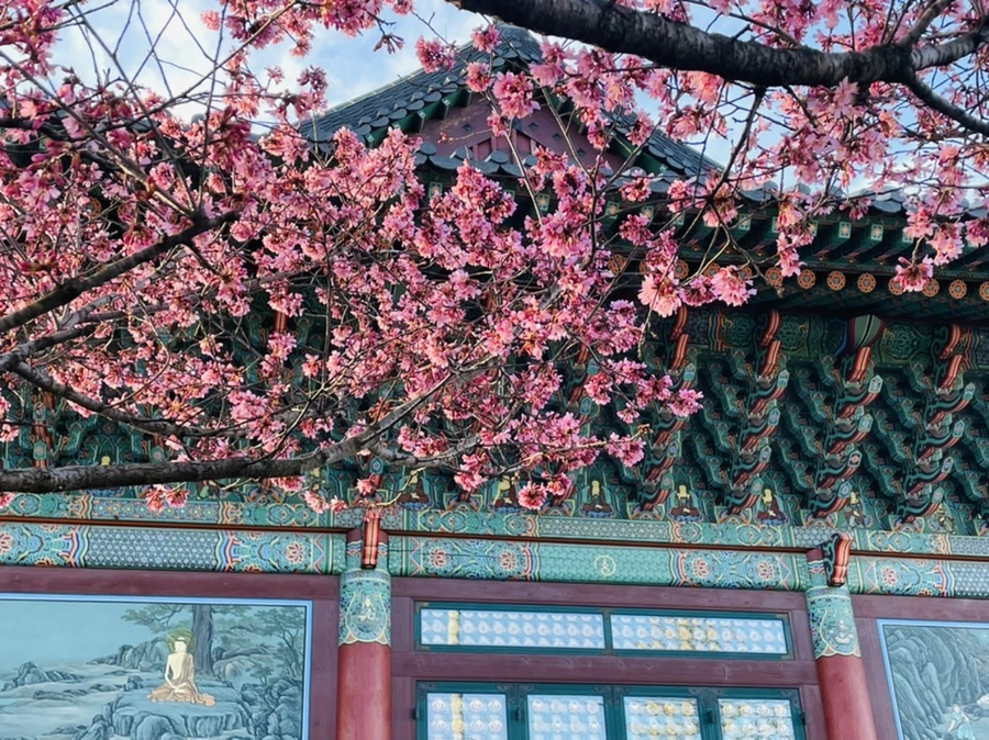 IMG_6100.jpg?type=w966