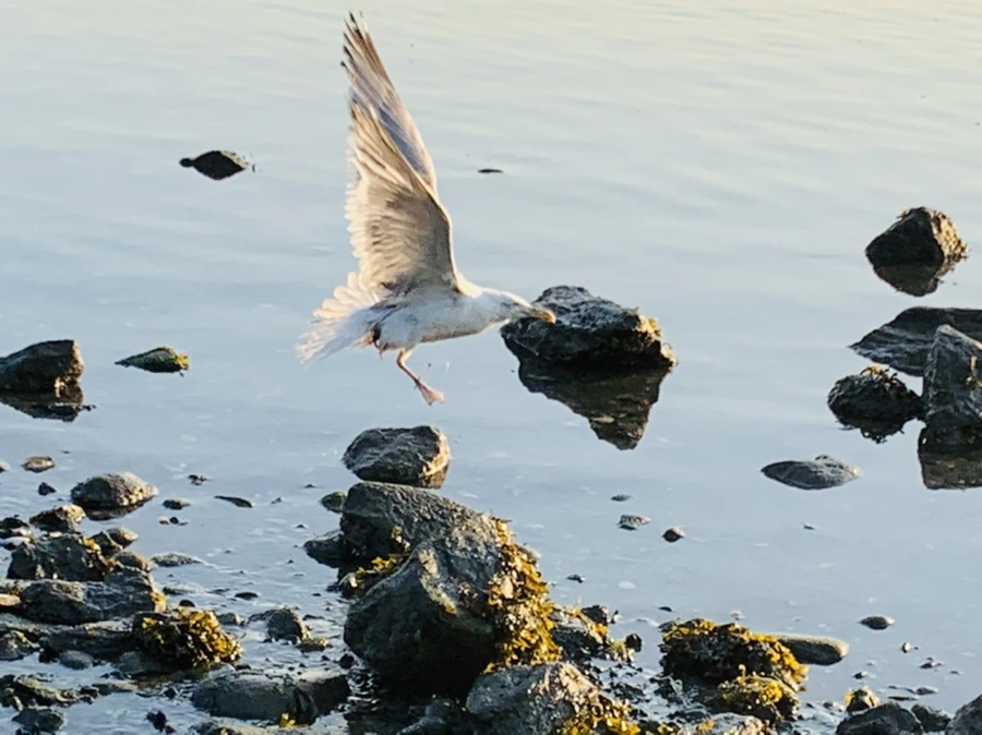 IMG_7328.jpg?type=w966