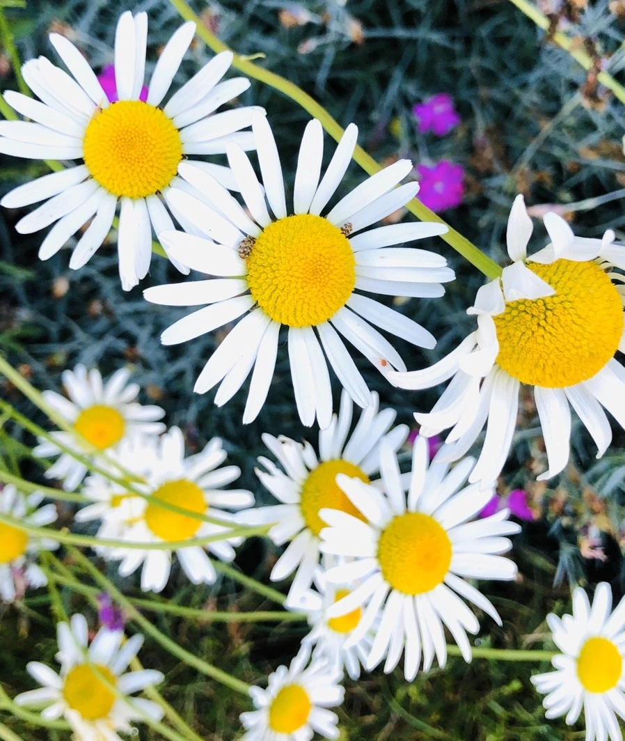 q1uRARiu3DOTpmMVW9LeqjCVOV4