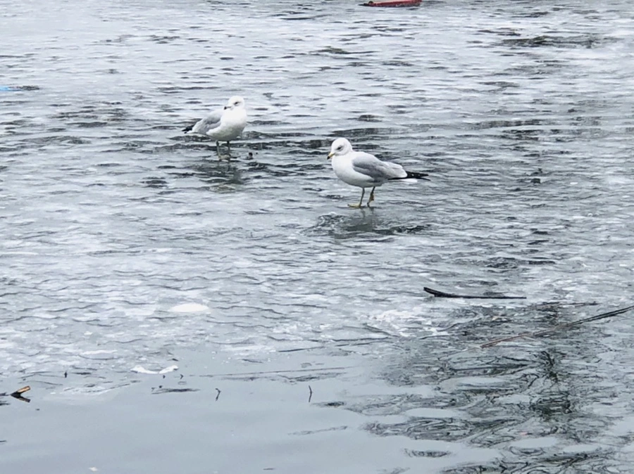 IMG_6154.jpg?type=w966