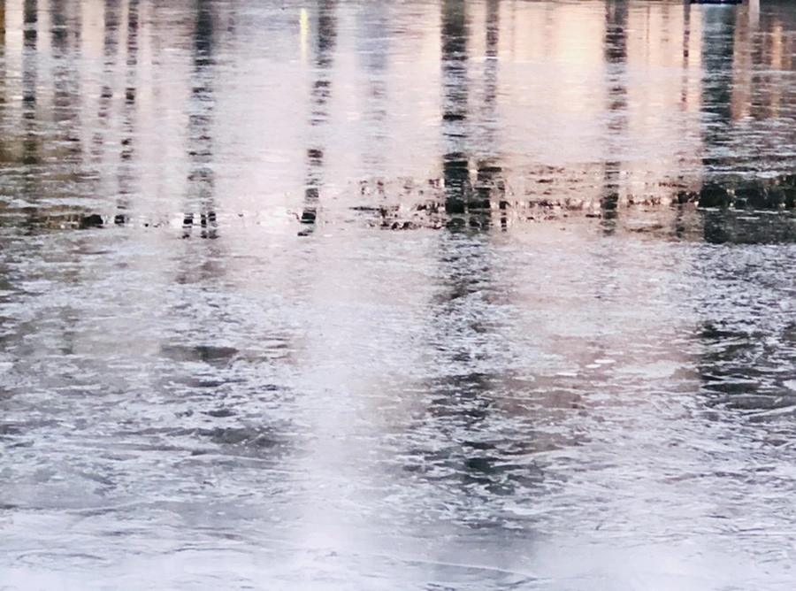 IMG_1909.jpg?type=w966