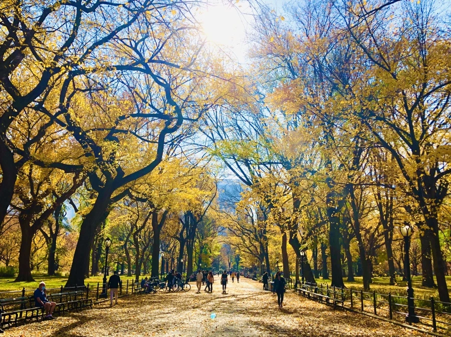 IMG_4292.jpg?type=w966