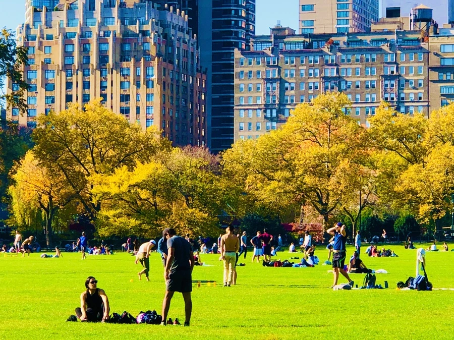 IMG_3812.jpg?type=w966