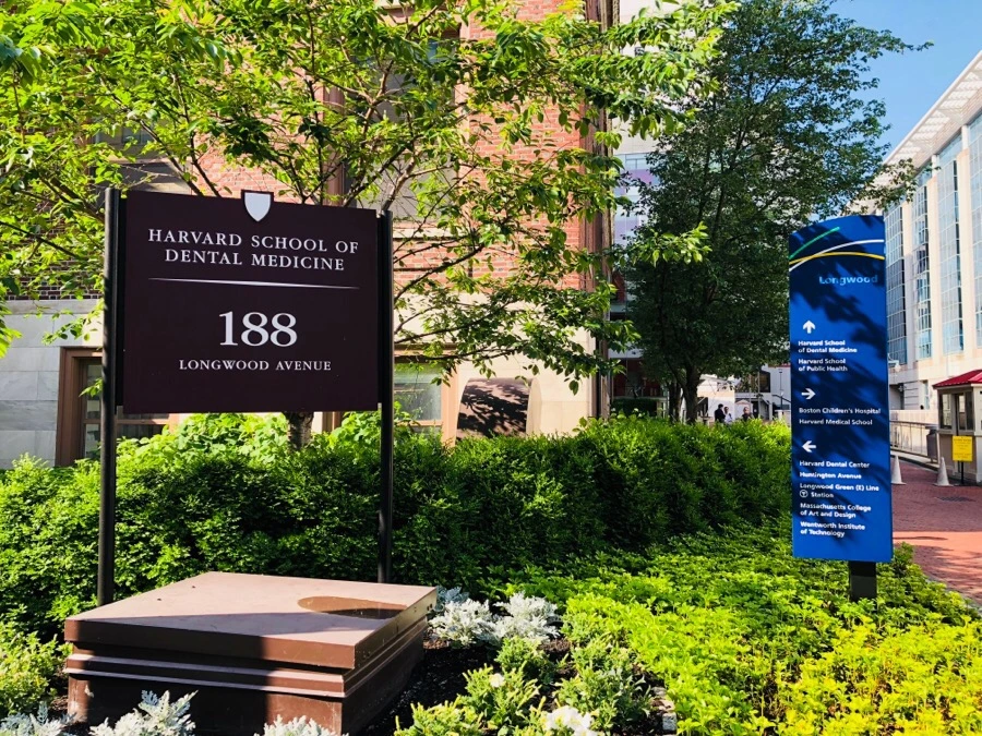 IMG_6852.jpg?type=w966