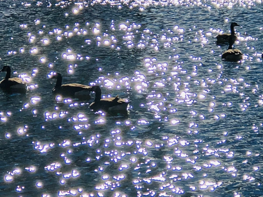 IMG_9193.jpg?type=w966