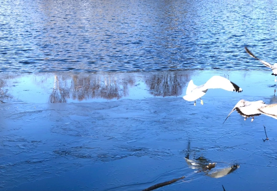 IMG_0533.jpg?type=w966