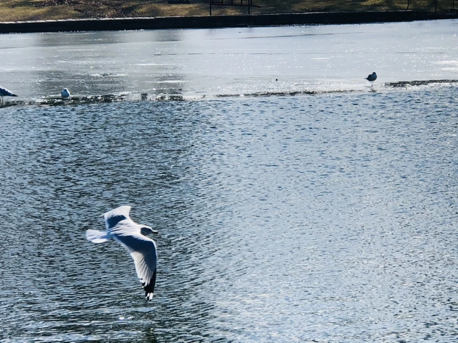 IMG_6734.jpg?type=w966