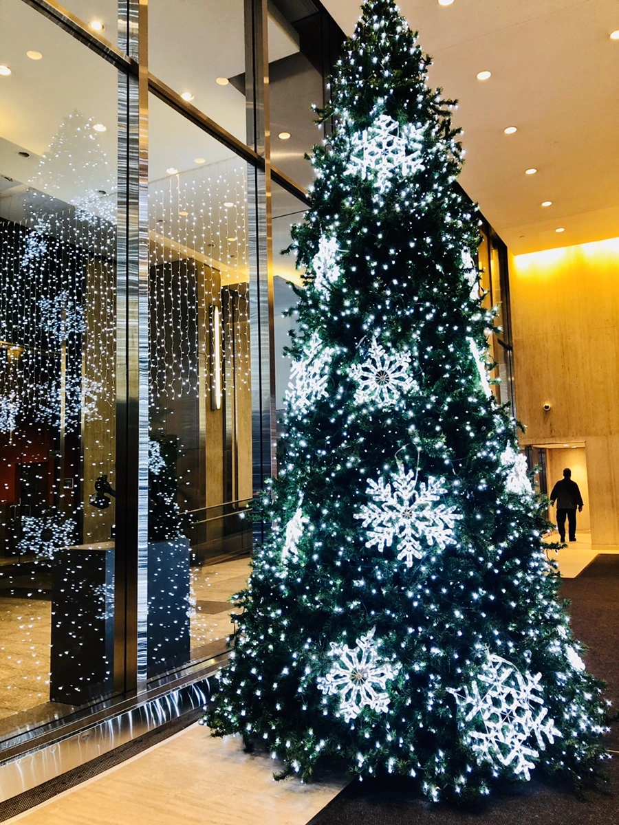 IMG_2367.jpg?type=w966