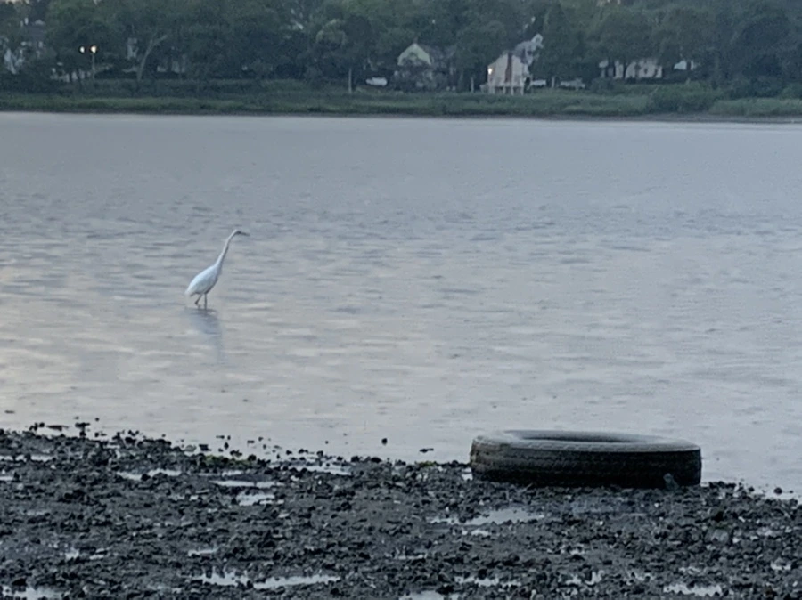 IMG_8142.jpg?type=w966