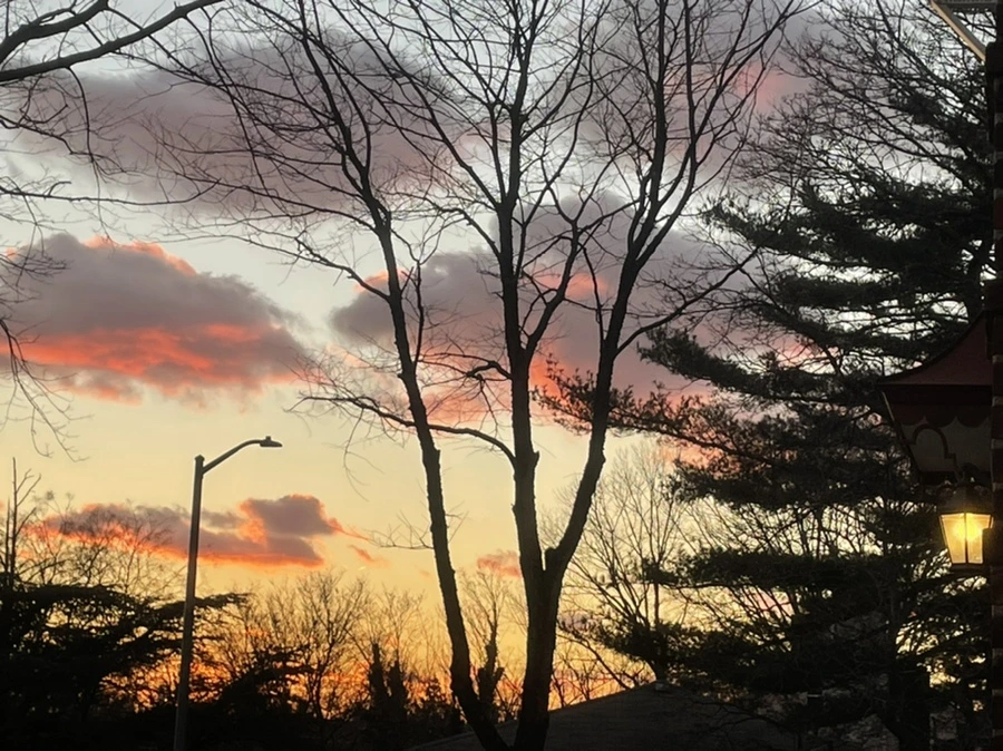 IMG_1410.jpg?type=w966