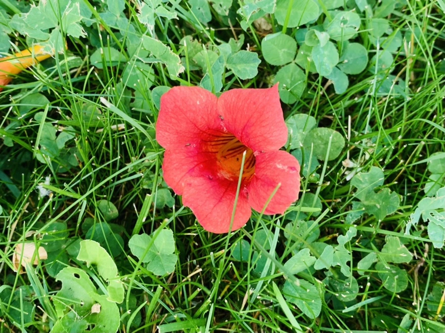 IMG_5712.jpg?type=w966