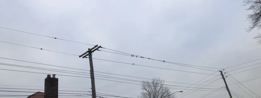 IMG_2377.jpg?type=w966