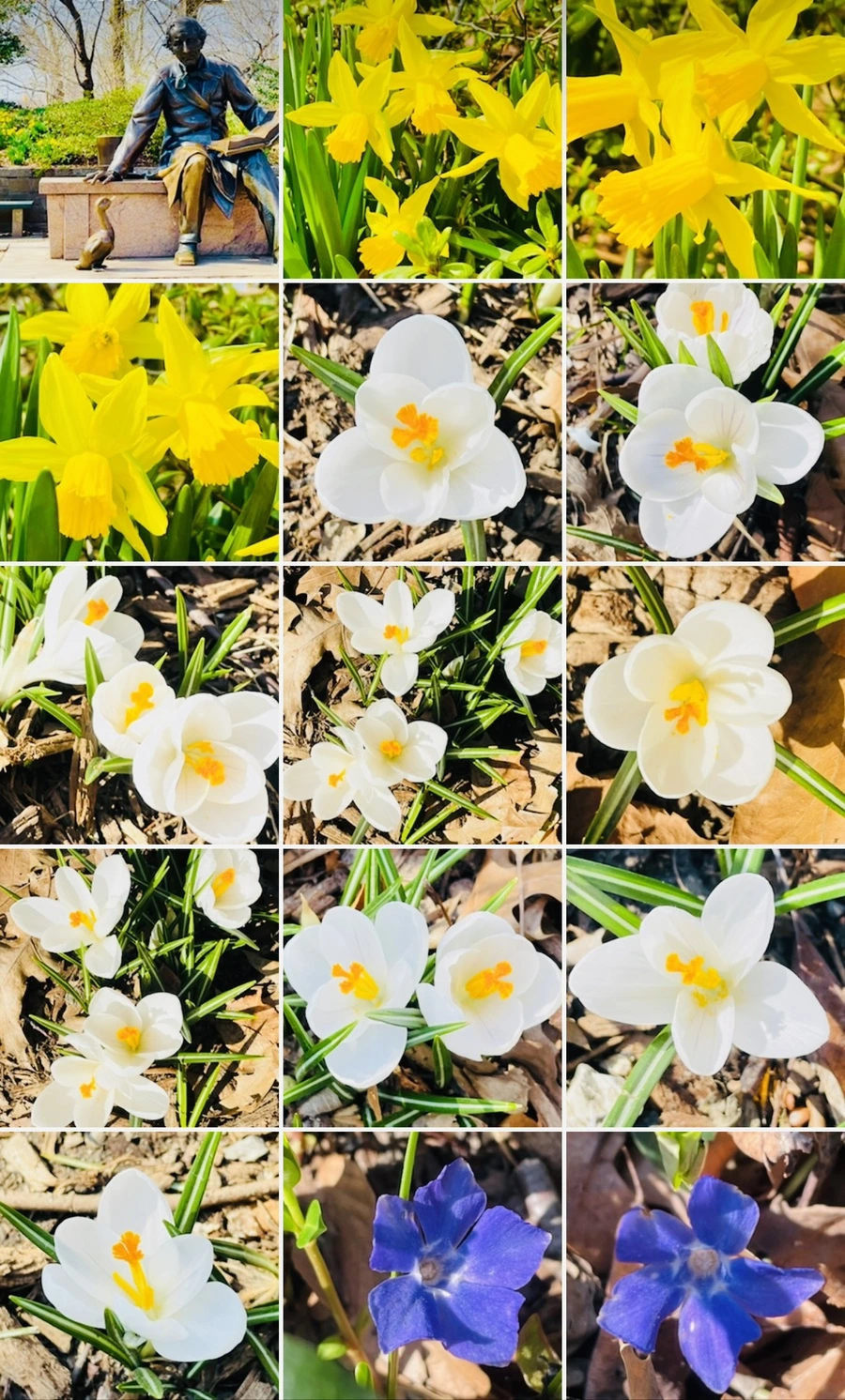 IMG_5671.jpg?type=w966