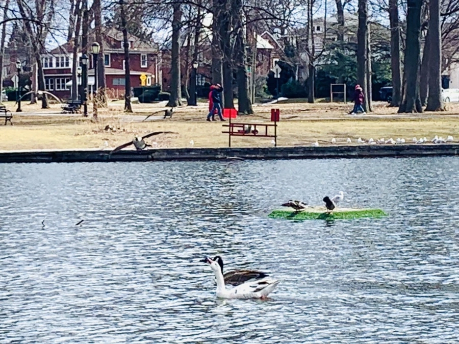 IMG_7331.jpg?type=w966