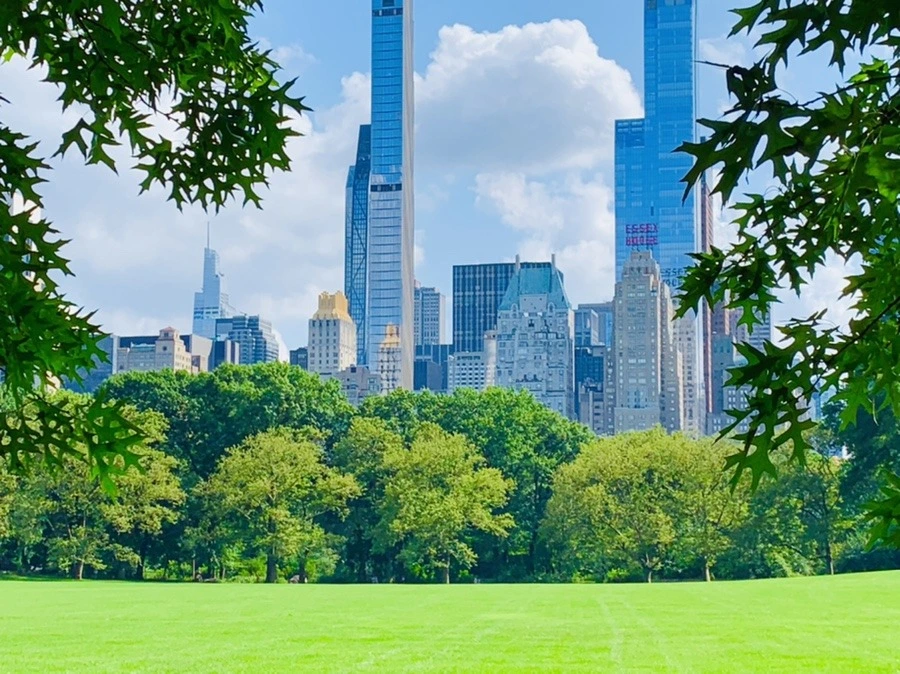 A00NPlxvXqcqSukV4iWvwaVLpos