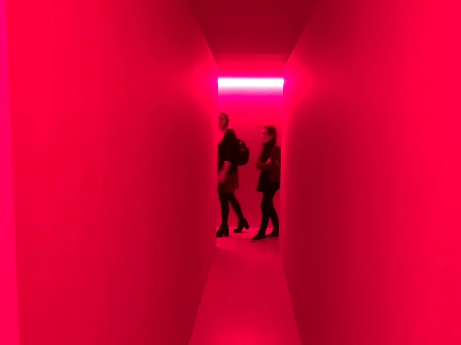 IMG_9098.jpg?type=w966