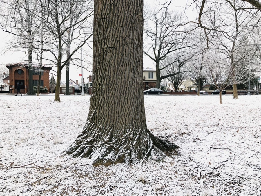 IMG_4471.jpg?type=w966