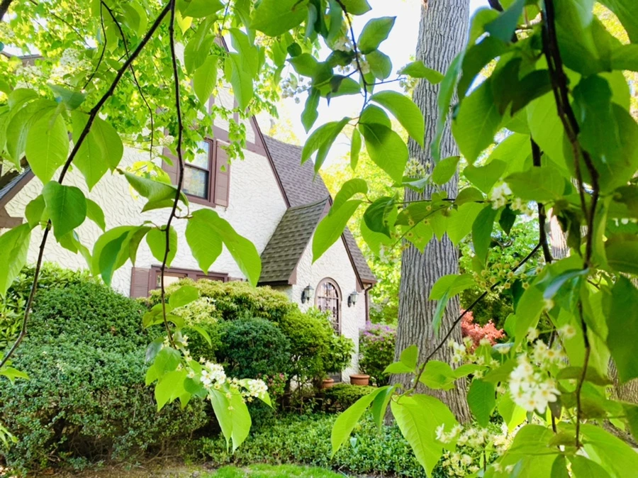 IMG_8368.jpg?type=w966