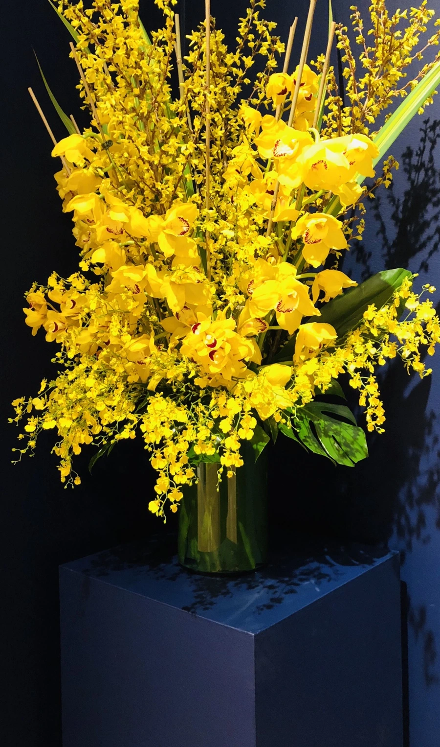 IMG_1104.jpg?type=w966