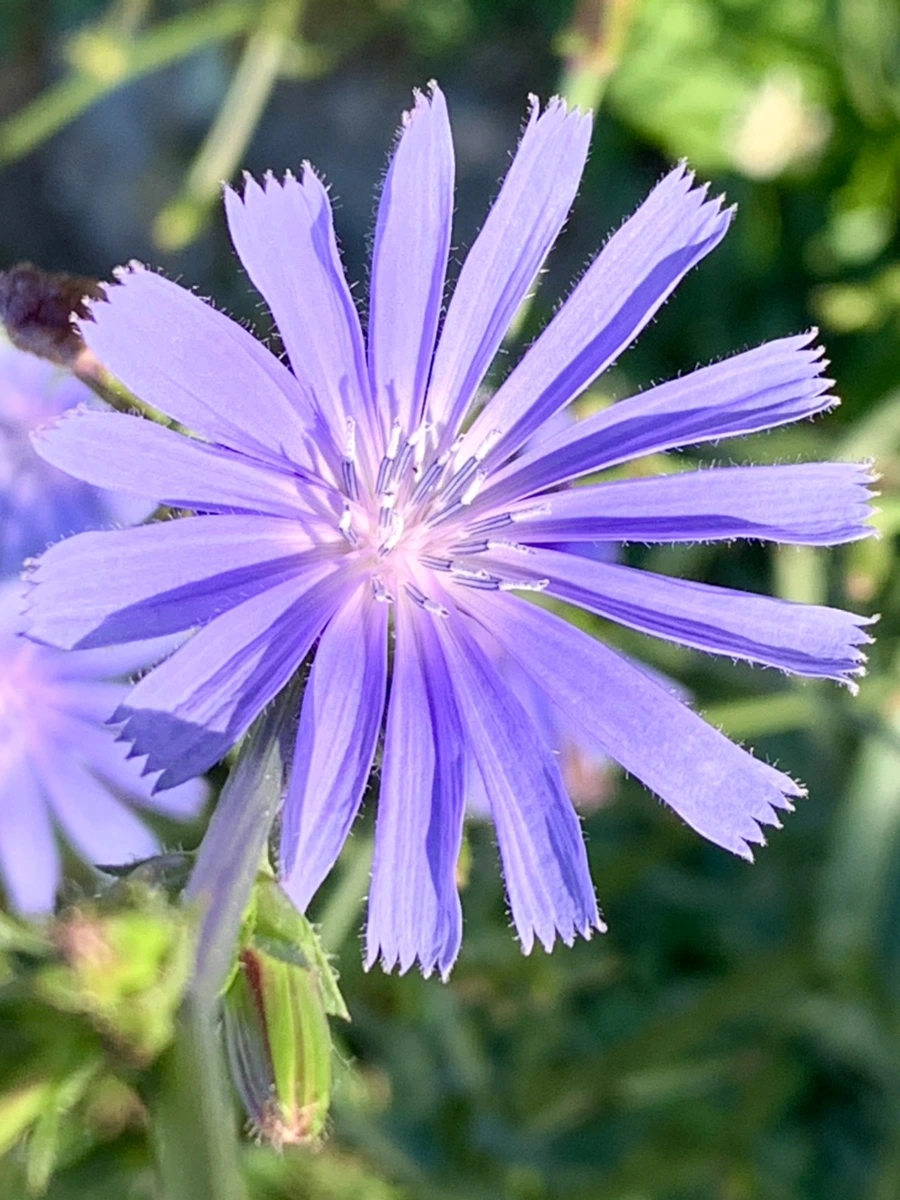 IMG_5241.jpg?type=w966