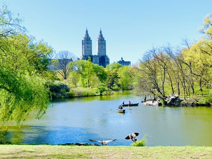 IMG_6018.jpg?type=w966