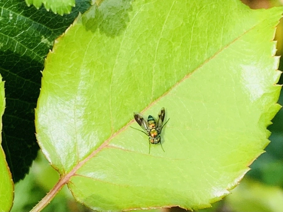 Pv8b9f-g2wfvE217Ysv78f6ogLA