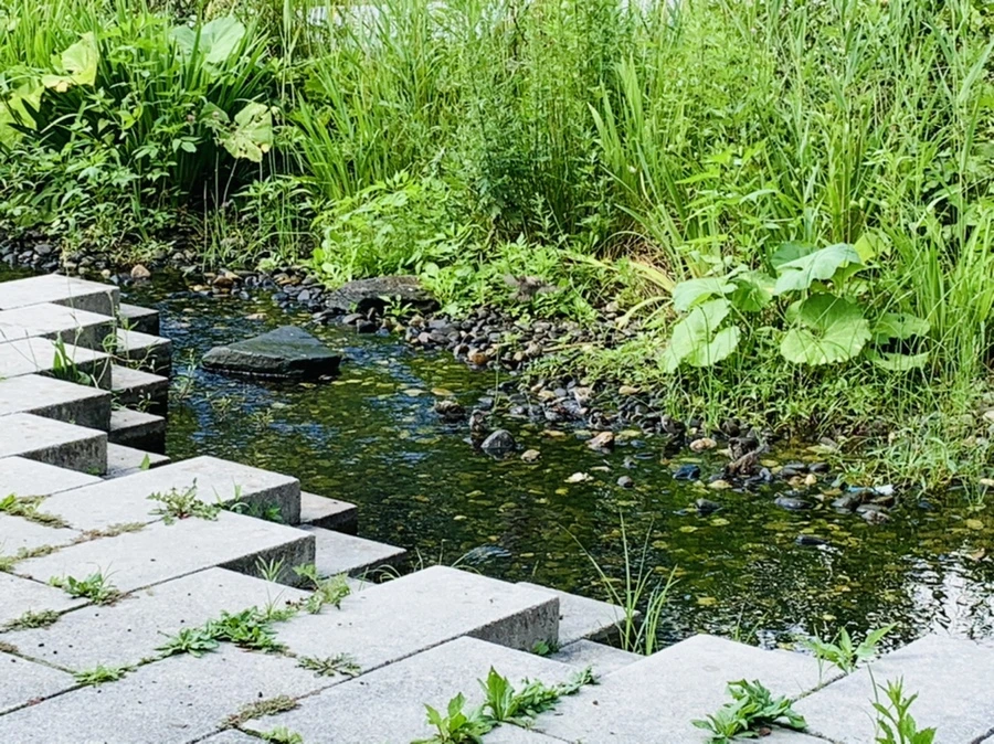 IMG_0652.jpg?type=w966