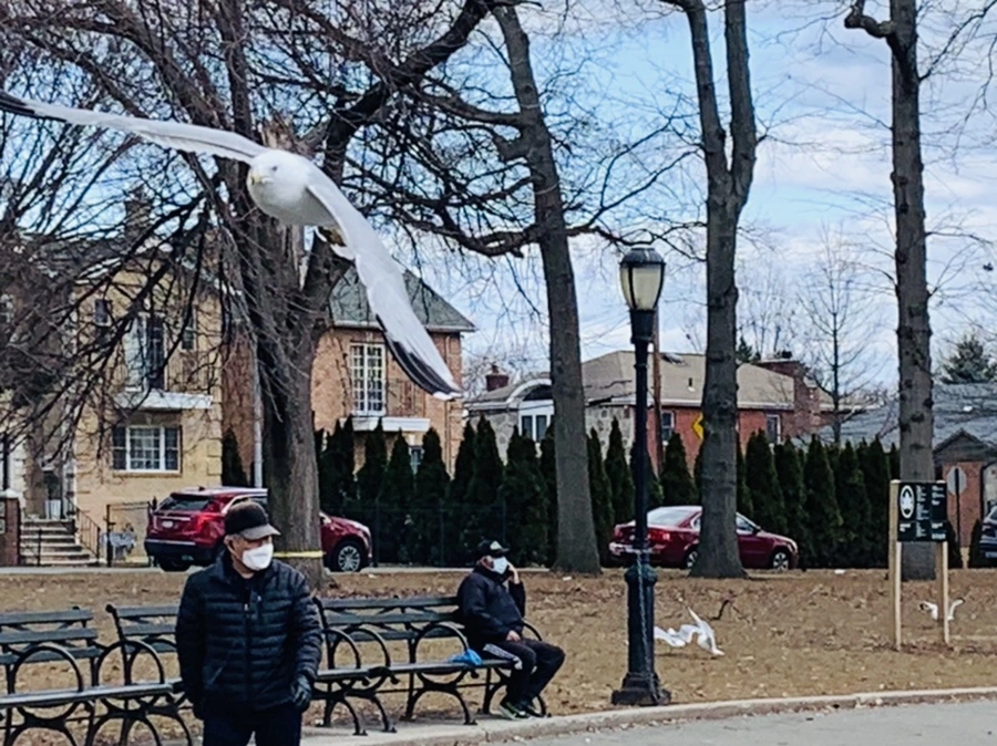 IMG_7427.jpg?type=w966