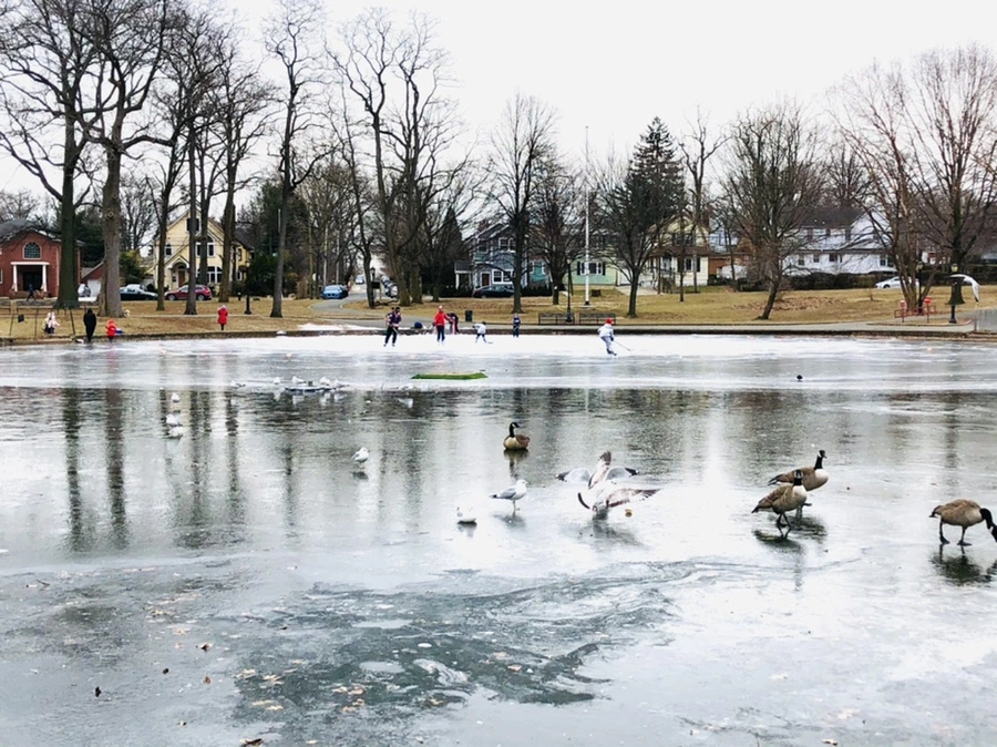 IMG_8336.jpg?type=w966