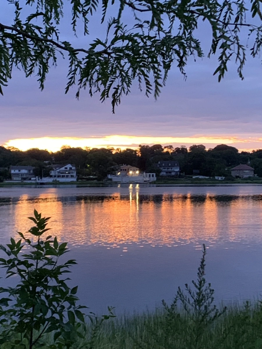 IMG_2255.jpg?type=w966