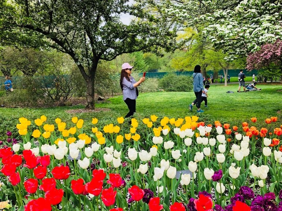 IMG_5501.jpg?type=w966