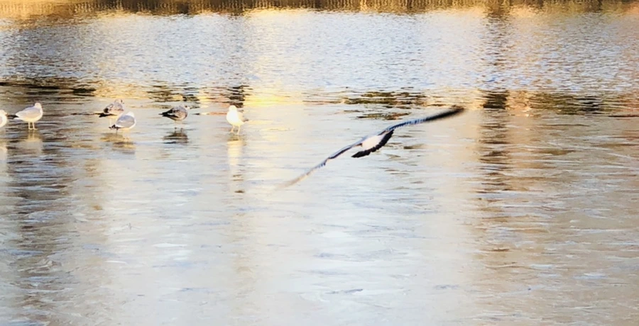 IMG_0862.jpg?type=w966