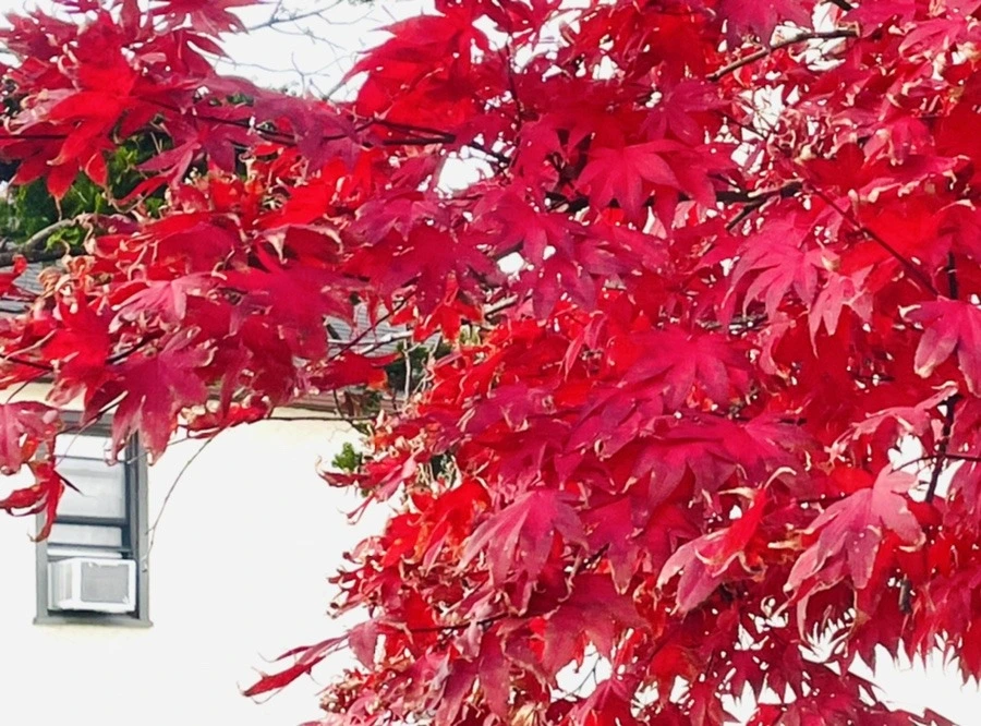 oXrkOhUMVXUJzMb7s2UhglBwoxg