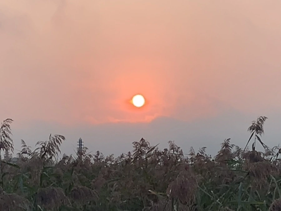 IMG_1140.jpg?type=w966