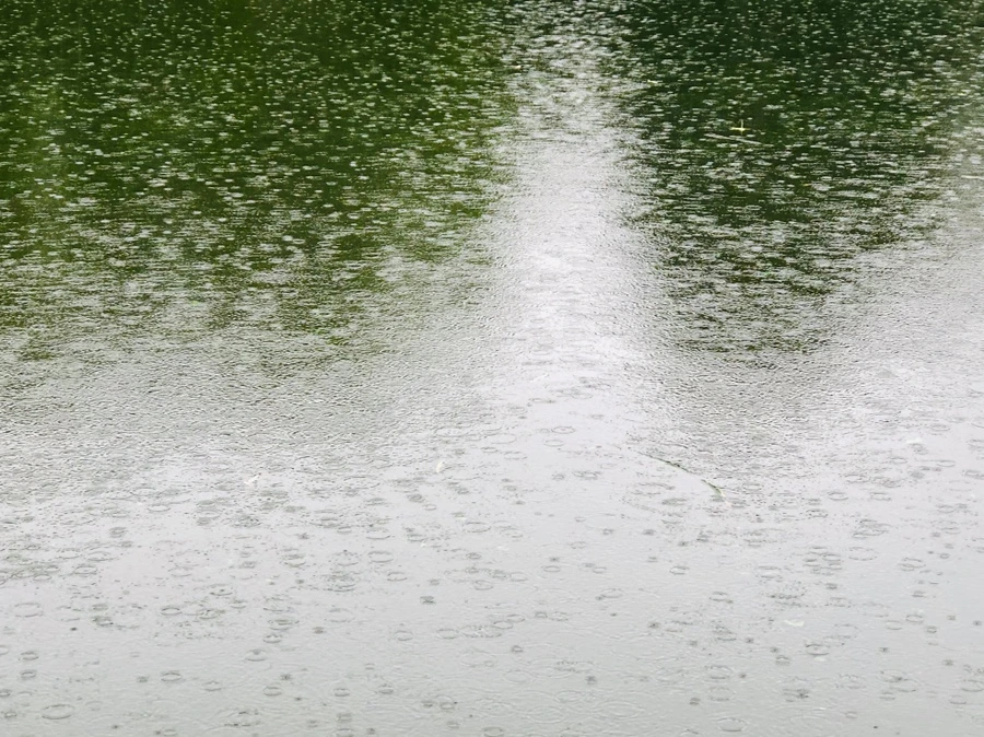 IMG_3252.jpg?type=w966