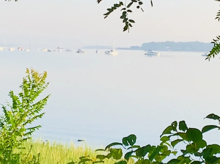 IMG_7430.jpg?type=w966