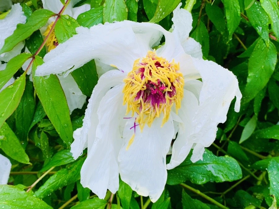 joqTnRcSMON54Cg46xNRw_YnQks